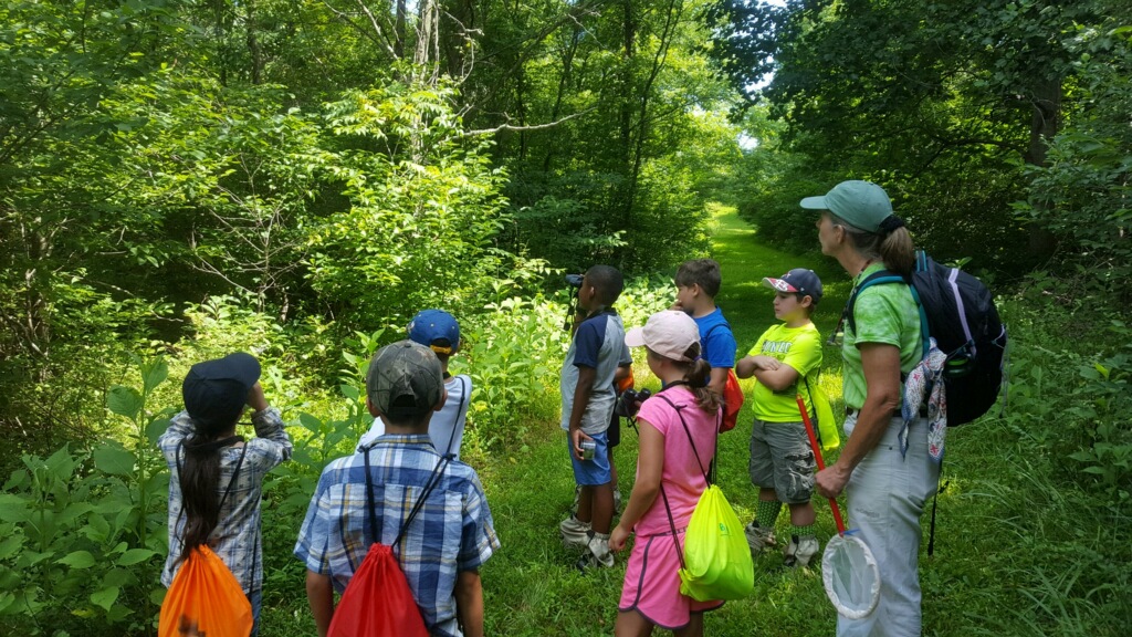 YHikes! Youth Nature Hike