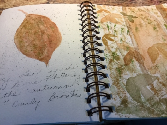 Nature Journaling with Joyce Andrew 