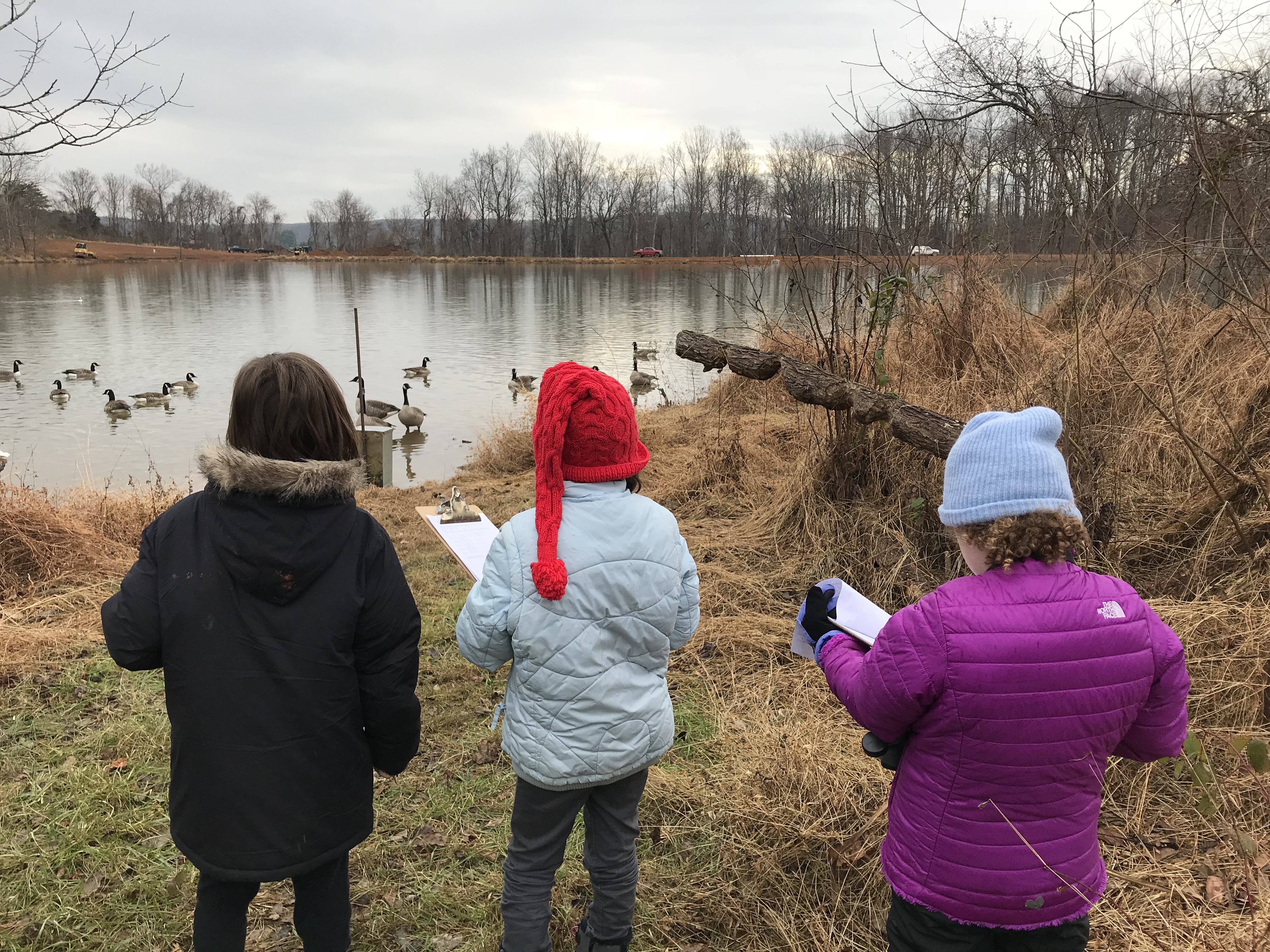 Homeschool Waterfowl Count- EVENT FULL