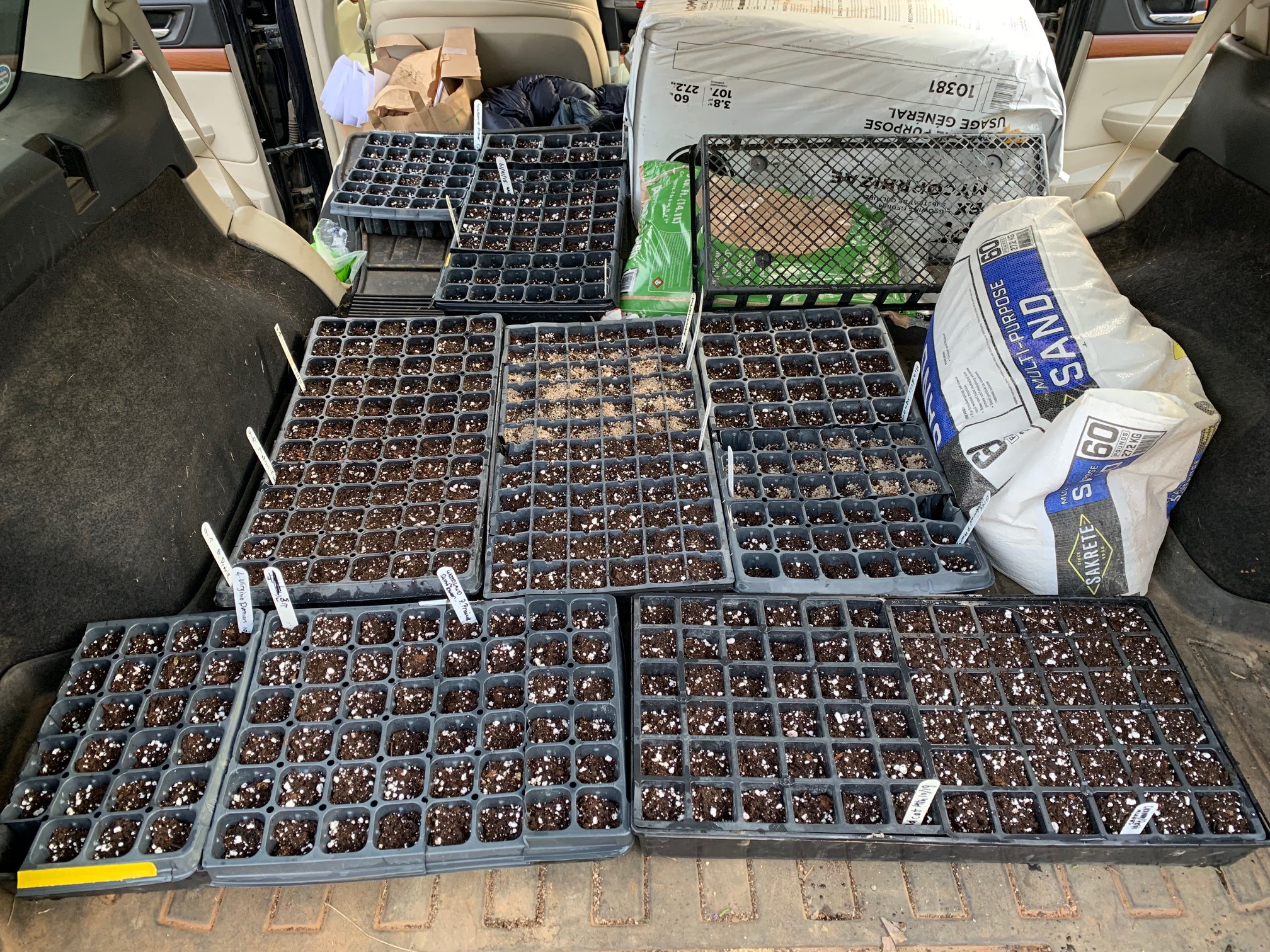 Native Plant Seed Sowing Volunteer Day