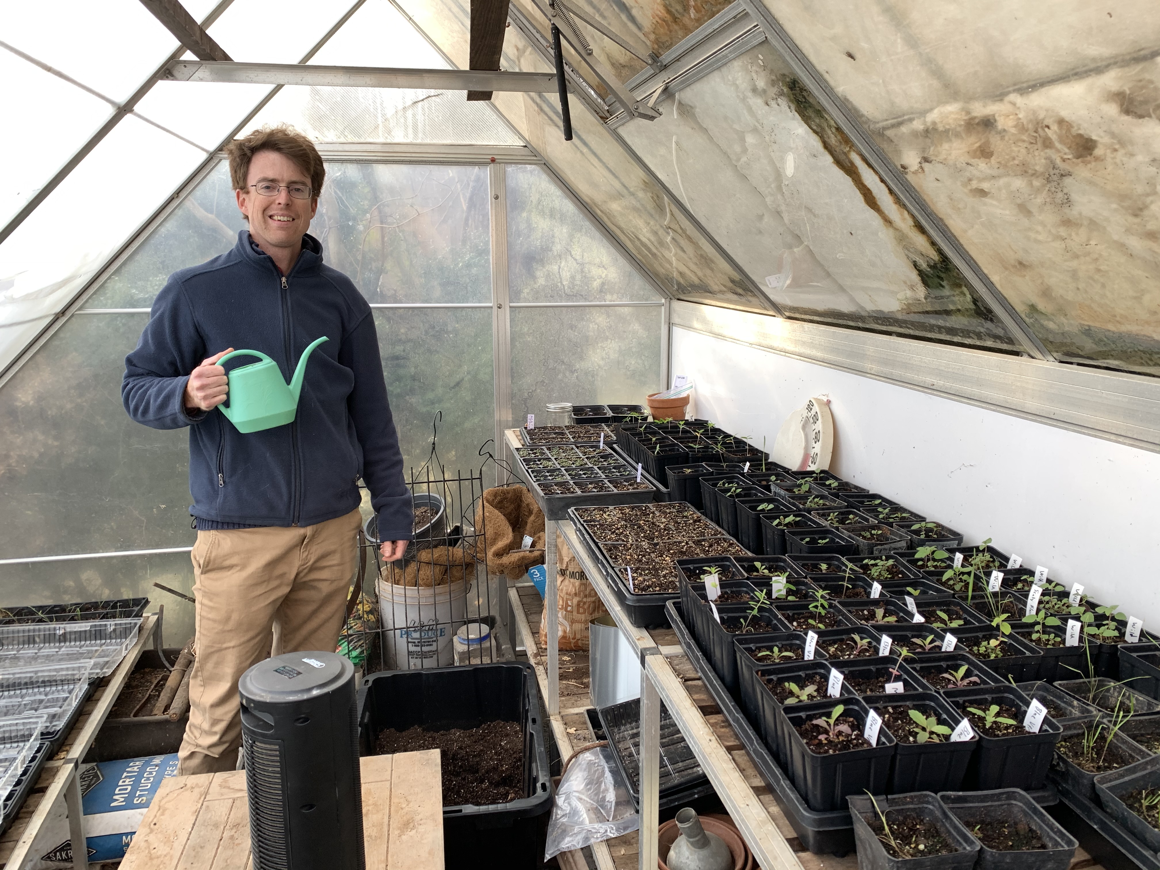 CANCELLED Native Plant Seedlings Volunteer Day