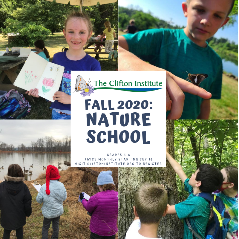 Nature School 10/28