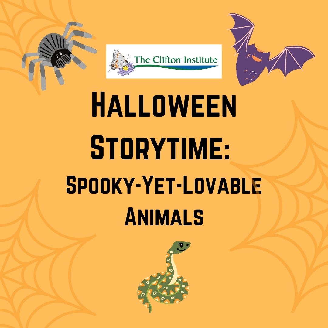 Halloween Storytime