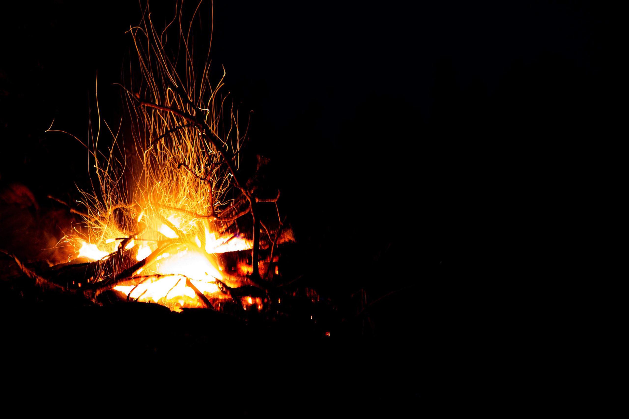 Mindful Naturalists: Gather 'Round the Fire
