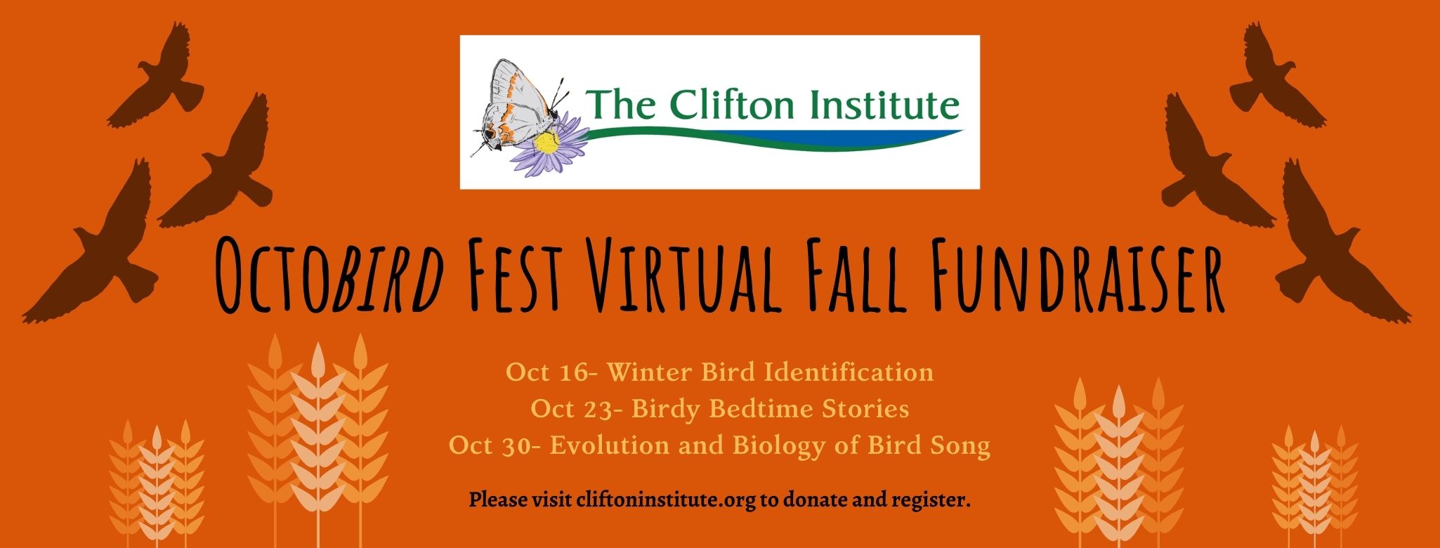 Octobird Fest: Winter Bird Identification