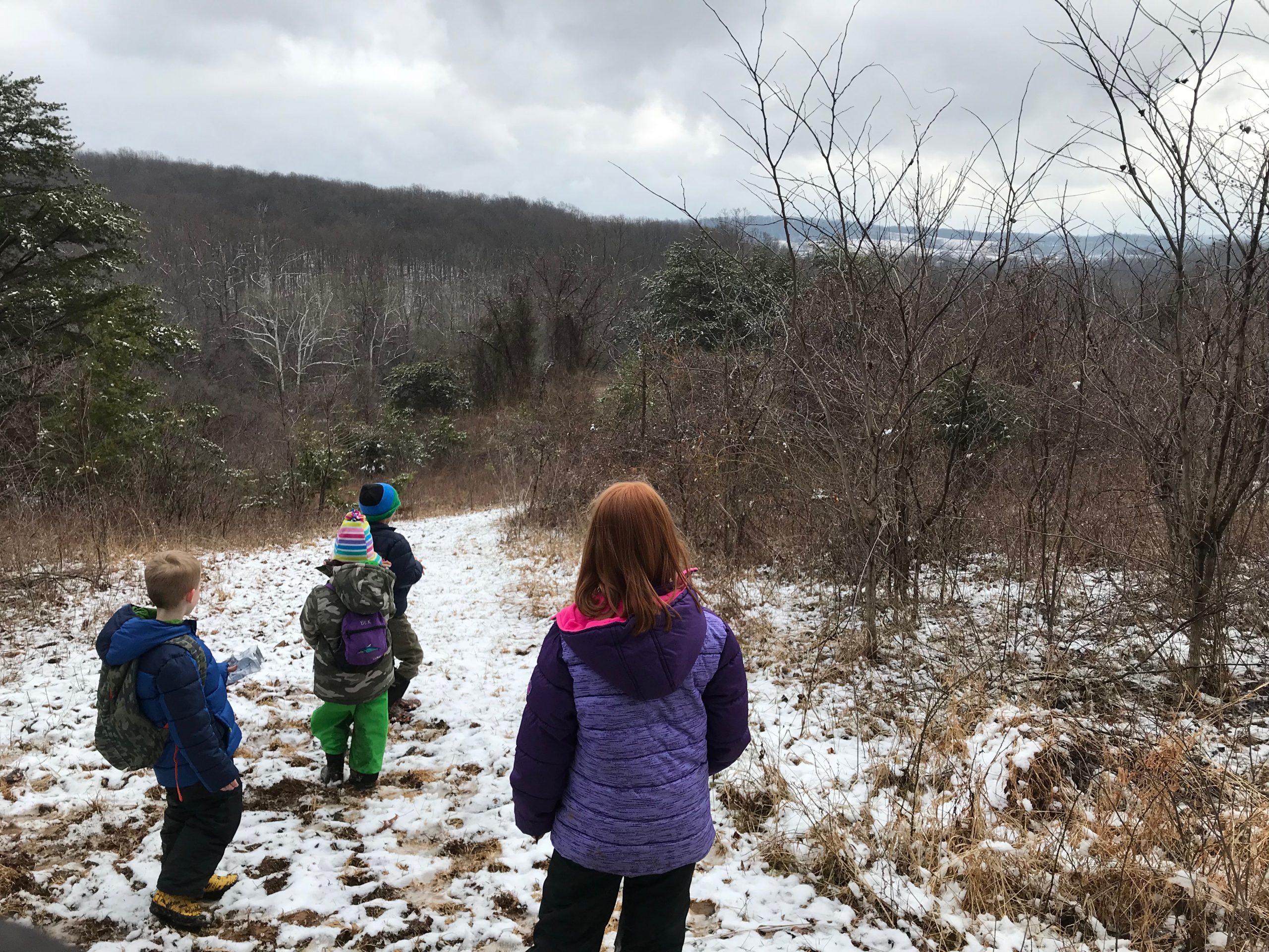 YHikes! CANCELLED