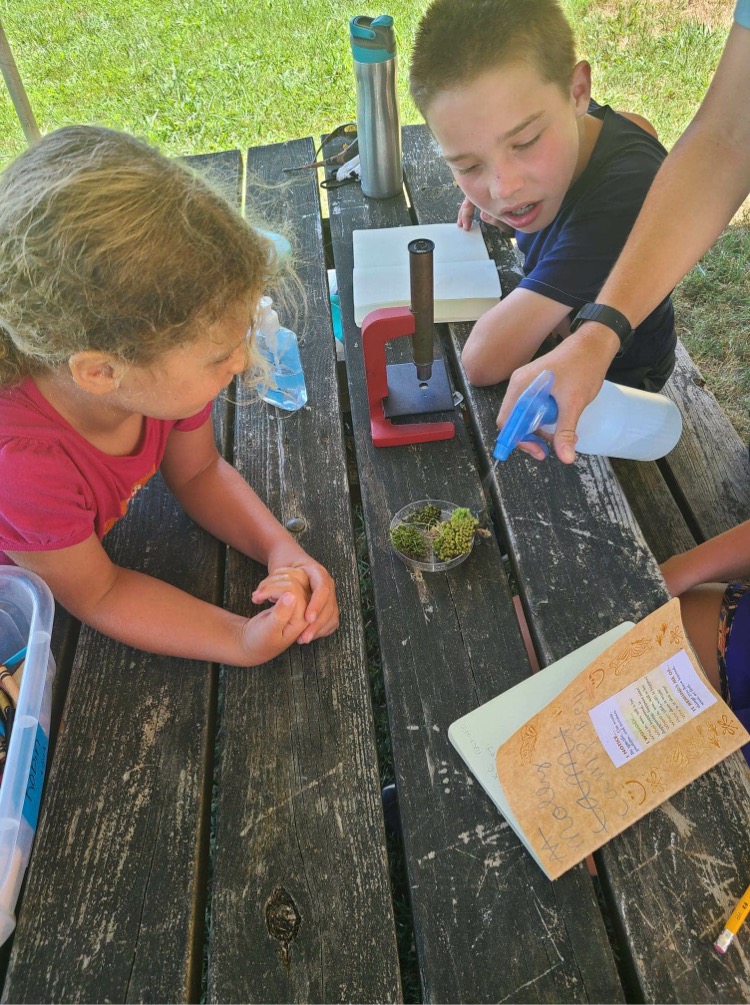 Nature Lab: Bryology