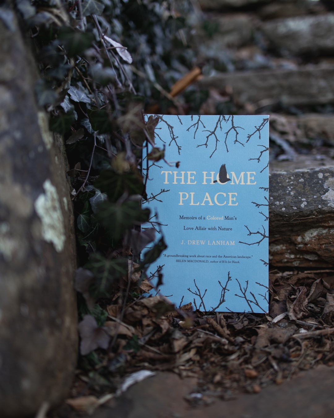 Book Club: The Home Place