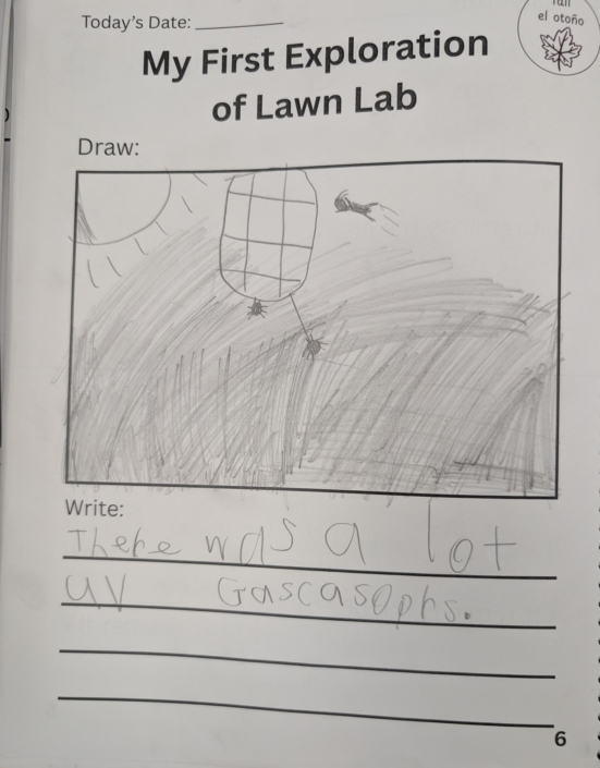Lawn Lab Exploration Drawing by a 2nd Grader