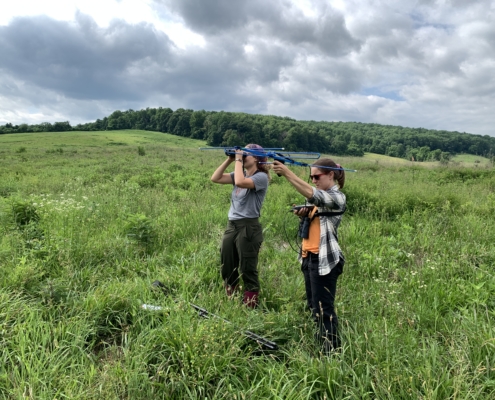 52172953865_39feaa5585_o