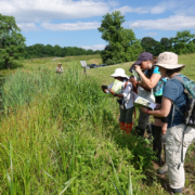 53011234405_6f29251706_o