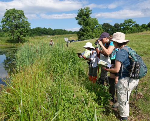 53011234405_6f29251706_o