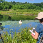 53022185004_4e8a426735_o