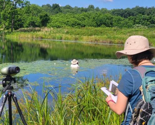 53022185004_4e8a426735_o