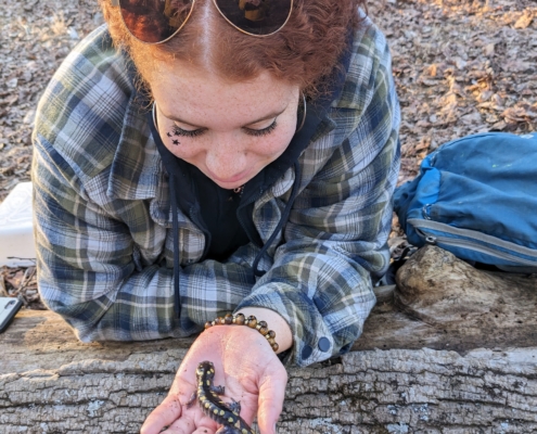 53536016337_a01e365b9e_o