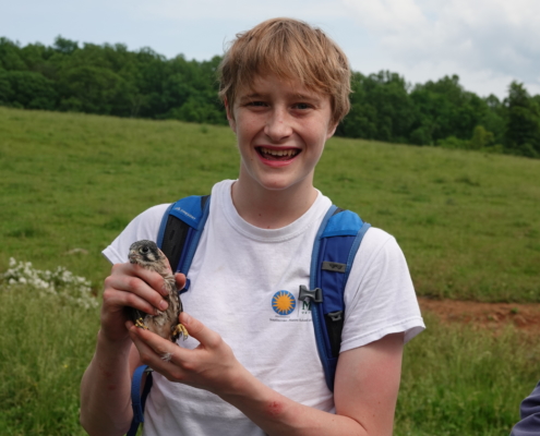 53740995482_6974092e90_o