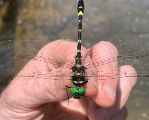 53785478387_d1390bc307_o