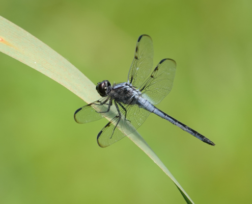 53797851275_2659c8395f_3k