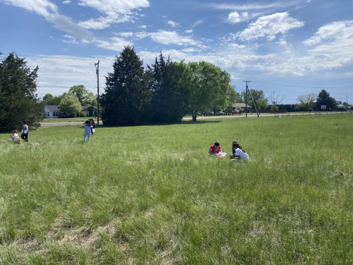 Students collecting plant samples and learning how to identify them