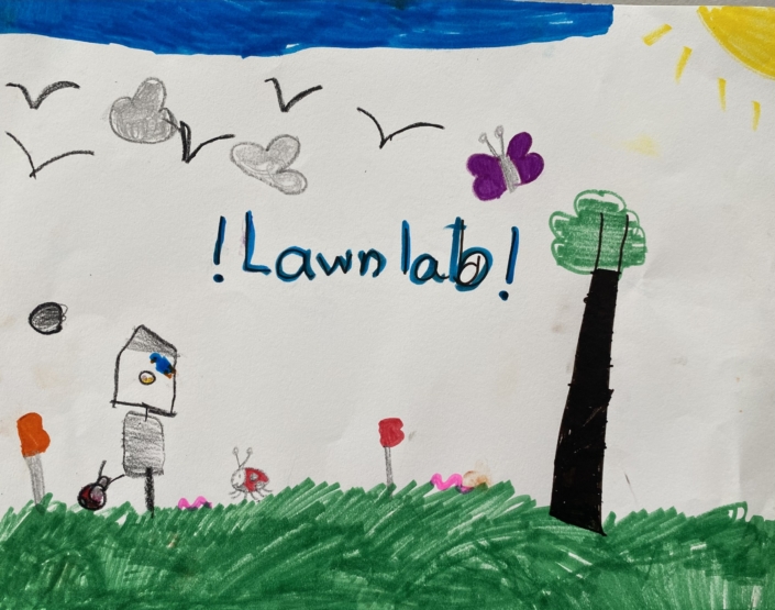 2nd Grade Student Lawn Lab Drawing