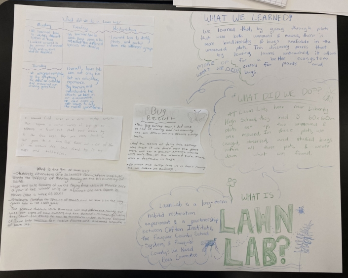 Liberty High School students’ Lawn Lab poster