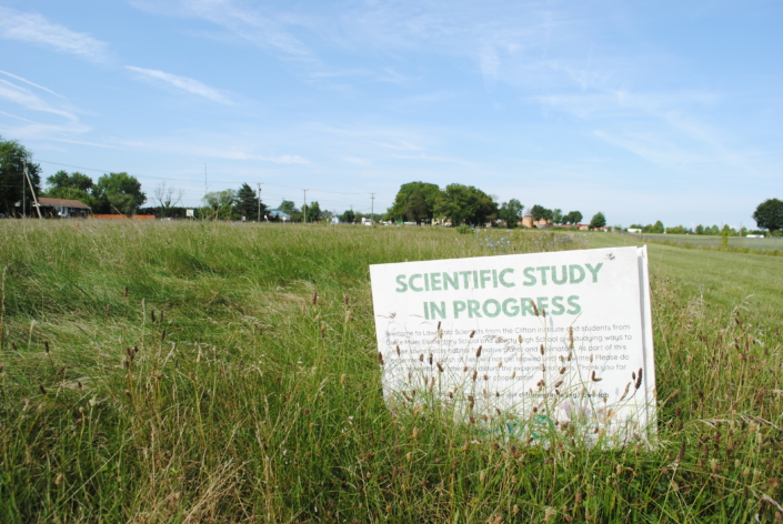 Lawn Lab Scientific Study